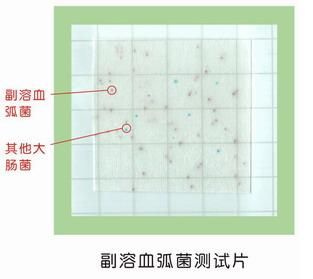 20131112141149169 20131112141149169